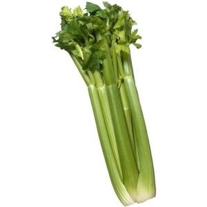 D113-A Celery