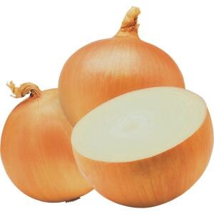 D173-B Yellow onion