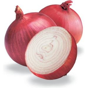 D173-C Red onion