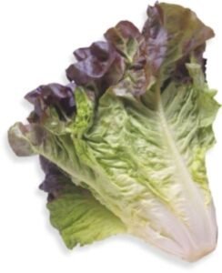 Lettuce Red