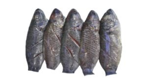 A11-C Climbing Perch Fish Marinated
