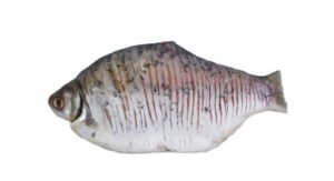 A12-B Silverbarb Fish Marinated
