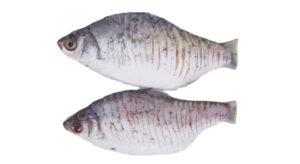 A12-C Silverbarb Fish Marinated