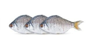 A13-C Riverbarb Fish Marinated