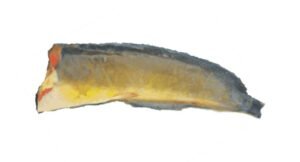 A15-C Yellow Catfish Headless