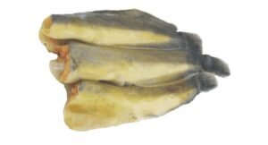 A15-E Yellow Catfish Headless