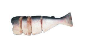 A16-A Basa Headless Cutted